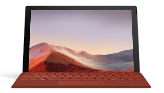 山亭清洁和维护 Surface